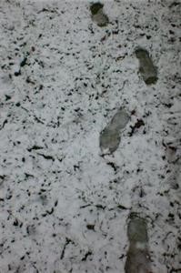 Mobile Phone Spy Kit